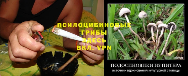 метадон Инта