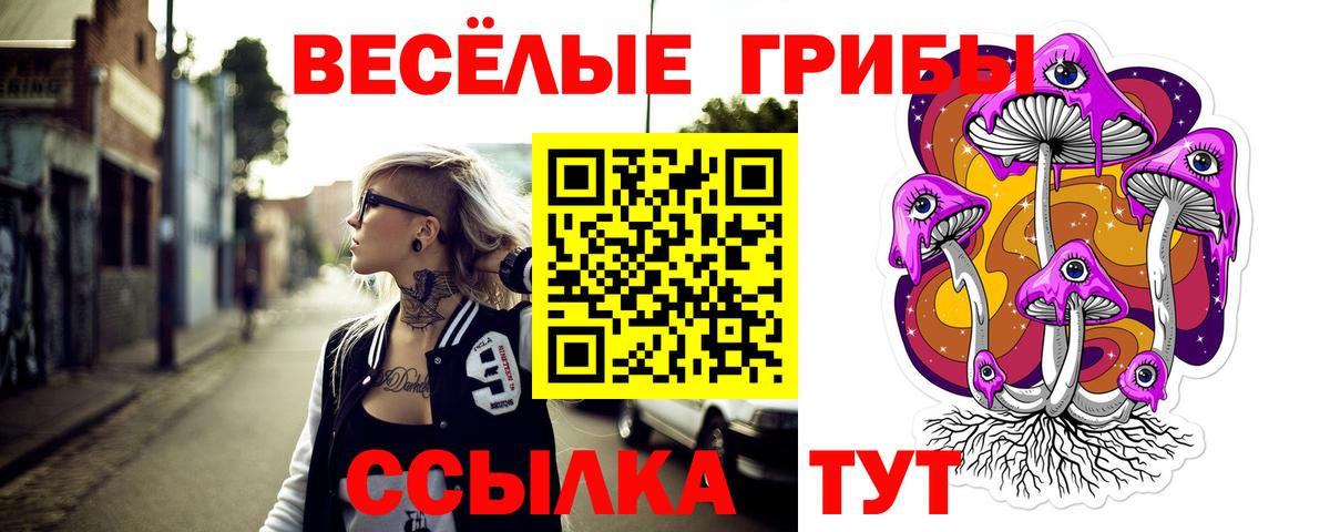 Галлюциногенные грибы MAGIC MUSHROOMS Красногорск