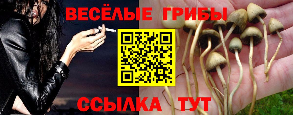 Галлюциногенные грибы мицелий  где продают наркотики  Красногорск  Вход с VPN 